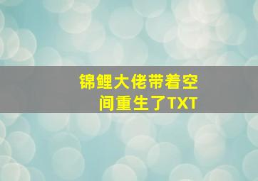 锦鲤大佬带着空间重生了TXT