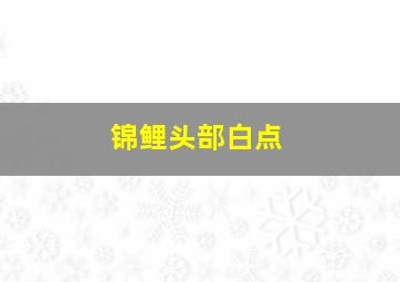 锦鲤头部白点