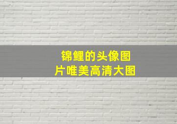 锦鲤的头像图片唯美高清大图