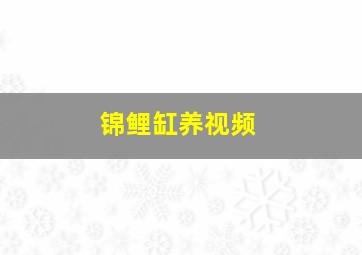 锦鲤缸养视频