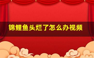 锦鲤鱼头烂了怎么办视频