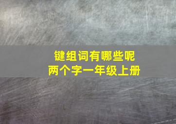 键组词有哪些呢两个字一年级上册