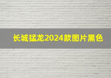 长城猛龙2024款图片黑色