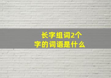 长字组词2个字的词语是什么