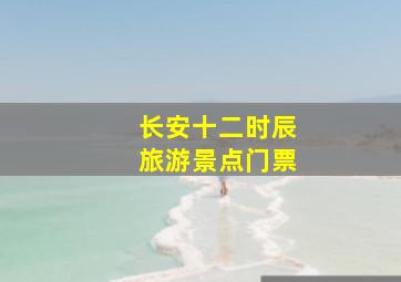 长安十二时辰旅游景点门票