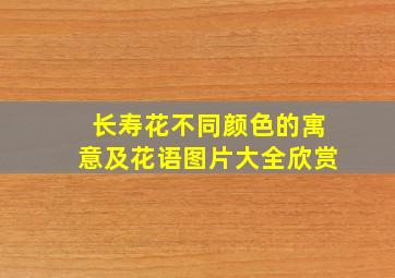 长寿花不同颜色的寓意及花语图片大全欣赏