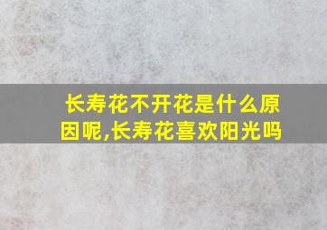 长寿花不开花是什么原因呢,长寿花喜欢阳光吗