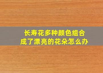 长寿花多种颜色组合成了漂亮的花朵怎么办