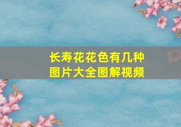 长寿花花色有几种图片大全图解视频