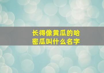 长得像黄瓜的哈密瓜叫什么名字