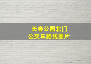 长春公园北门公交车路线图片