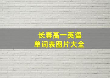 长春高一英语单词表图片大全