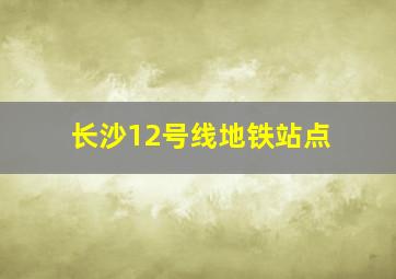 长沙12号线地铁站点