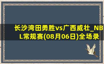 长沙湾田勇胜vs广西威壮_NBL常规赛(08月06日)全场录像