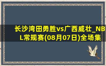 长沙湾田勇胜vs广西威壮_NBL常规赛(08月07日)全场集锦