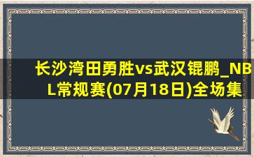 长沙湾田勇胜vs武汉锟鹏_NBL常规赛(07月18日)全场集锦