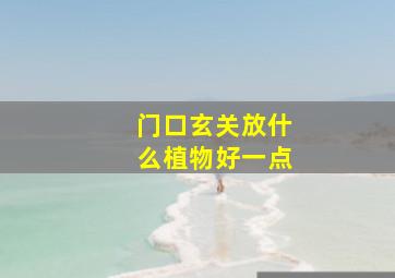 门口玄关放什么植物好一点