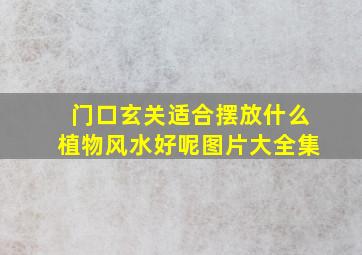 门口玄关适合摆放什么植物风水好呢图片大全集