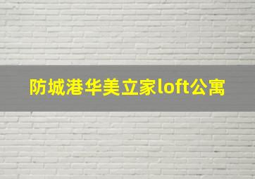 防城港华美立家loft公寓