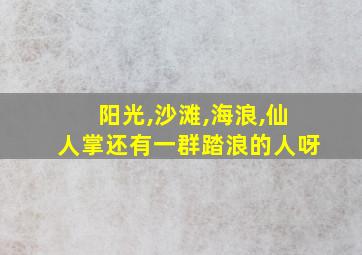 阳光,沙滩,海浪,仙人掌还有一群踏浪的人呀