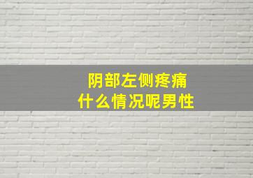 阴部左侧疼痛什么情况呢男性