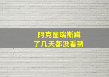 阿克图瑞斯蹲了几天都没看到