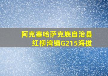 阿克塞哈萨克族自治县红柳湾镇G215海拔