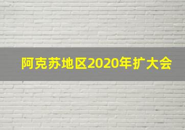 阿克苏地区2020年扩大会