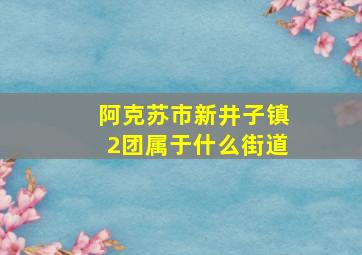 阿克苏市新井子镇2团属于什么街道