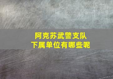 阿克苏武警支队下属单位有哪些呢