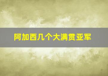 阿加西几个大满贯亚军