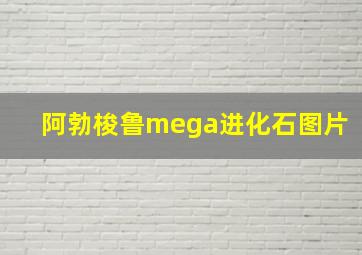 阿勃梭鲁mega进化石图片