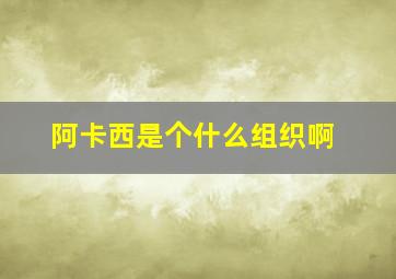 阿卡西是个什么组织啊