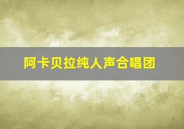 阿卡贝拉纯人声合唱团