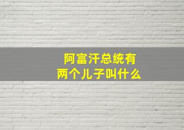 阿富汗总统有两个儿子叫什么