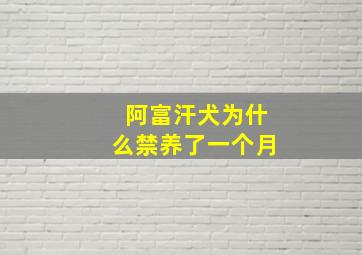 阿富汗犬为什么禁养了一个月