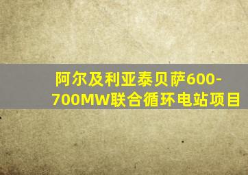 阿尔及利亚泰贝萨600-700MW联合循环电站项目