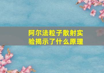 阿尔法粒子散射实验揭示了什么原理