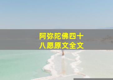 阿弥陀佛四十八愿原文全文