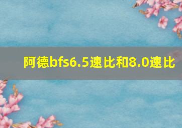 阿德bfs6.5速比和8.0速比