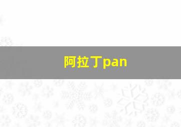 阿拉丁pan