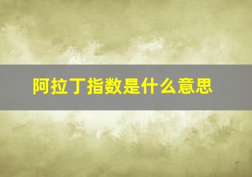 阿拉丁指数是什么意思