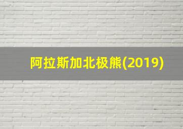 阿拉斯加北极熊(2019)