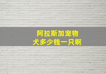 阿拉斯加宠物犬多少钱一只啊