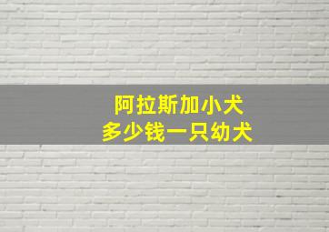 阿拉斯加小犬多少钱一只幼犬