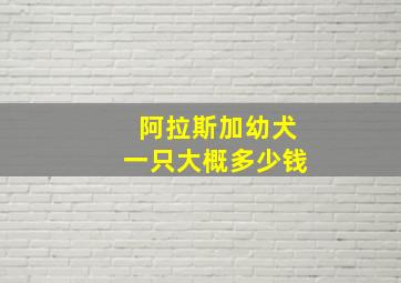 阿拉斯加幼犬一只大概多少钱