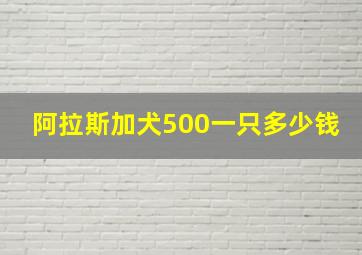 阿拉斯加犬500一只多少钱