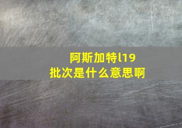 阿斯加特l19批次是什么意思啊