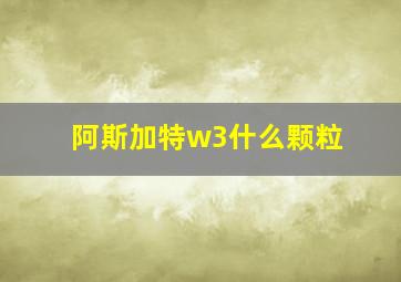 阿斯加特w3什么颗粒