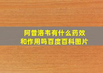 阿昔洛韦有什么药效和作用吗百度百科图片